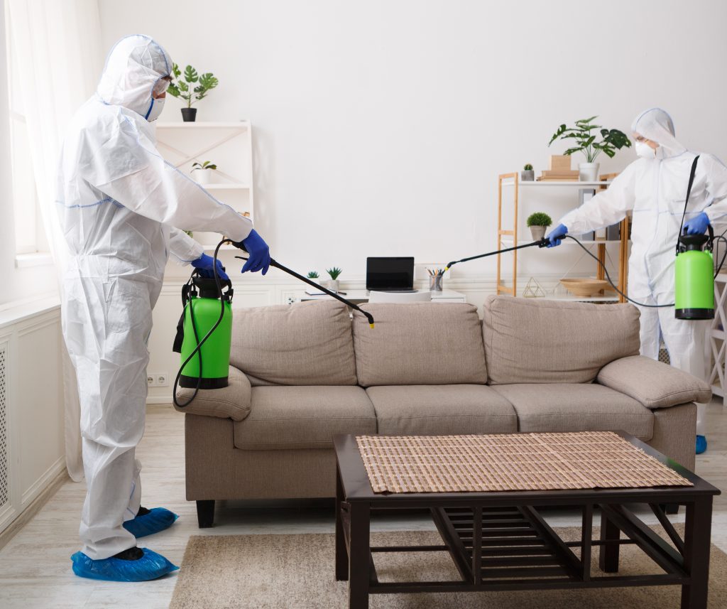 Pest Control Services: Your Trusted Partners in Pest Prevention and Eradication