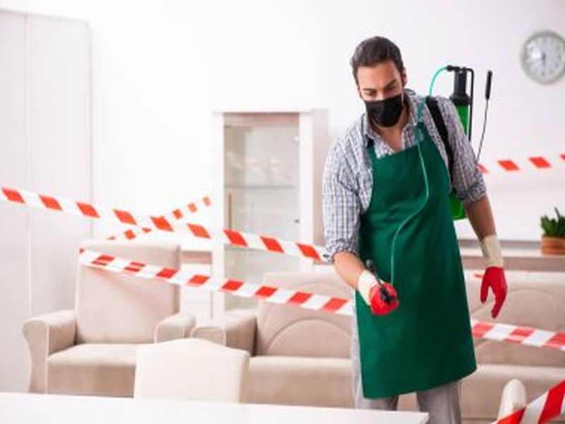Pest Control Sydney: Tips for New Homeowners